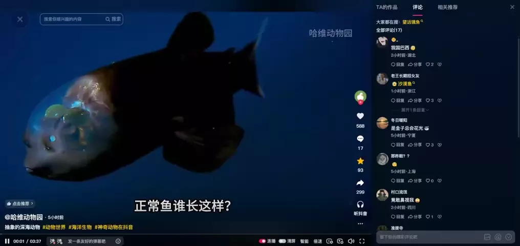 视频封面